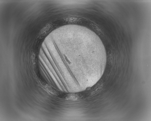 X0000059230750200511111548