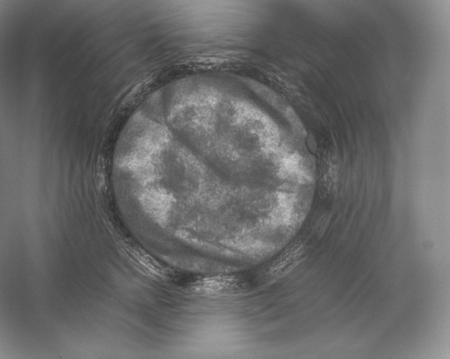 X0000059230758200511111548