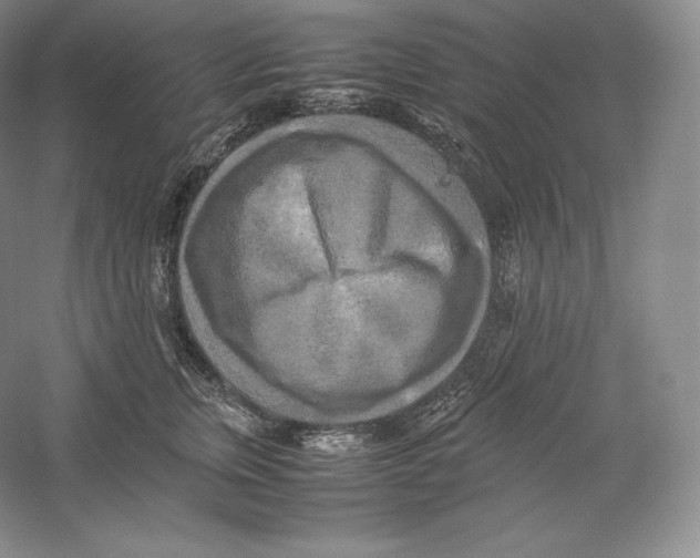 X0000059230759200511111548