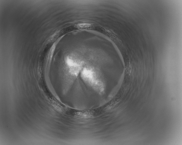 X0000059230763200511111548