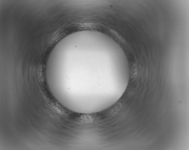 X0000059230764200511111548