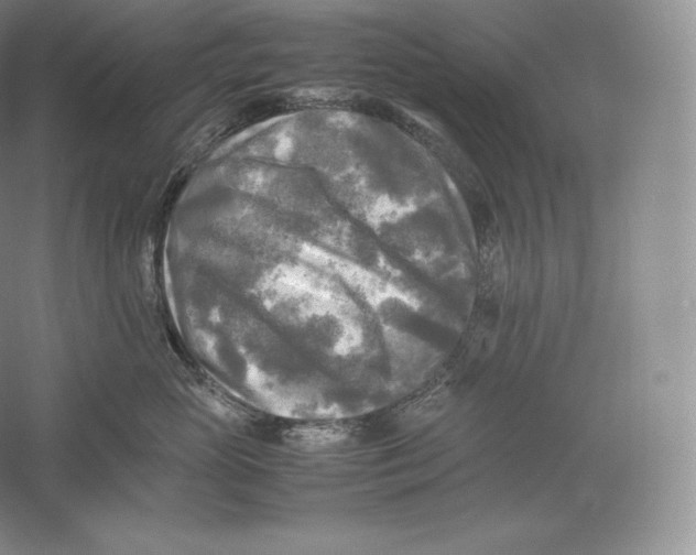 X0000059230765200511111548