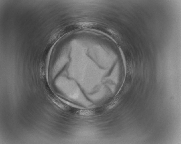 X0000059230766200511111548