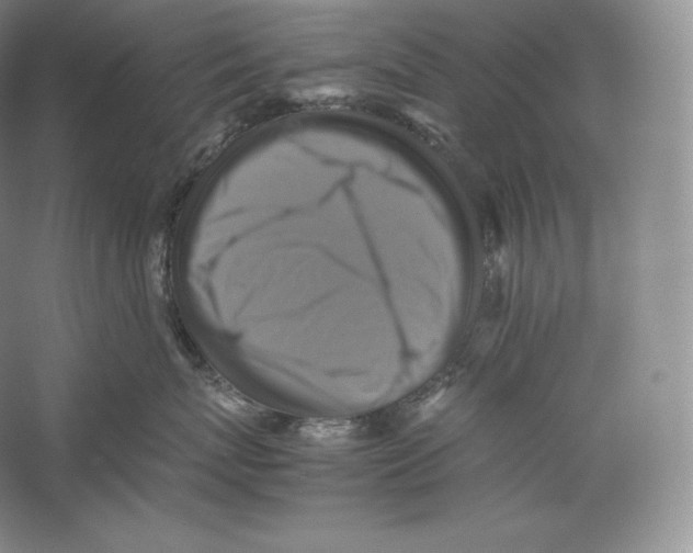 X0000059230767200511111548