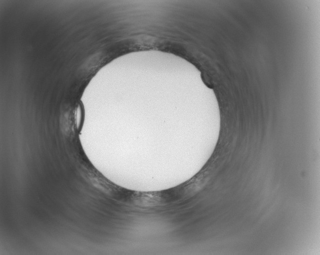 X0000059230768200511111548