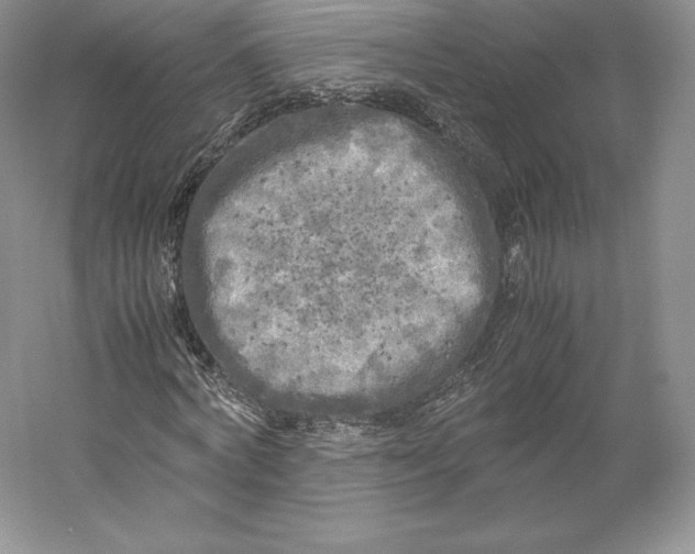 X0000059230772200511111547