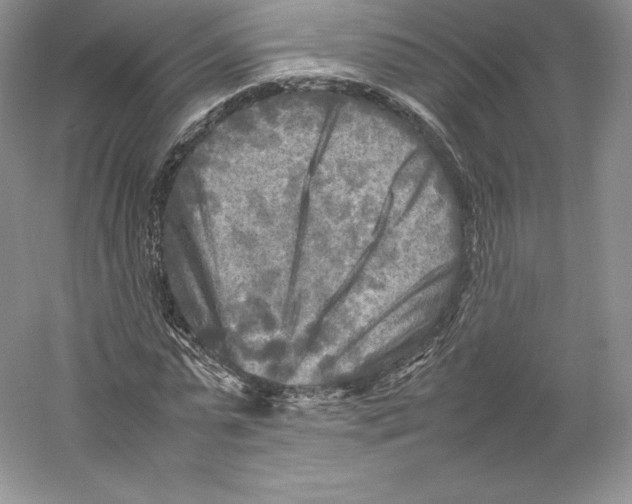 X0000059230775200511111547