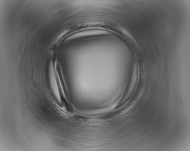 X0000059230777200511111547