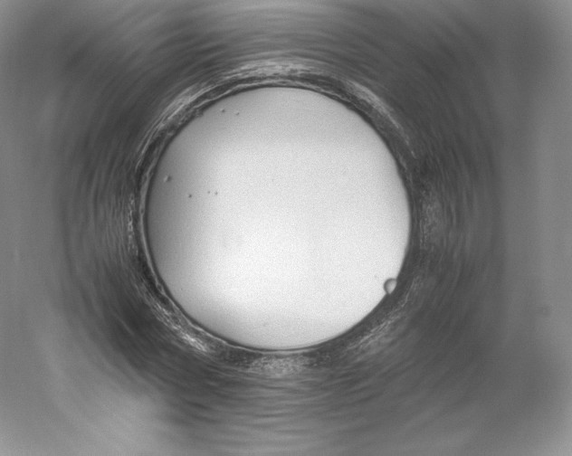 X0000059230778200511111547