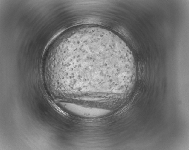 X0000059230780200511111547