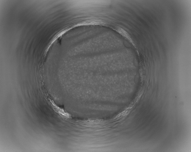 X0000059230781200511111547