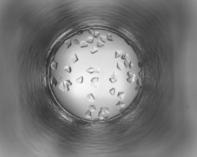 X0000059230782200511111547