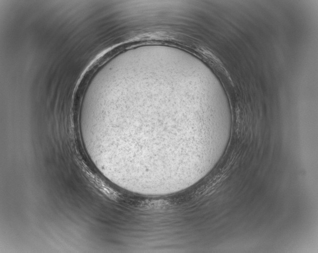 X0000059230784200511111547