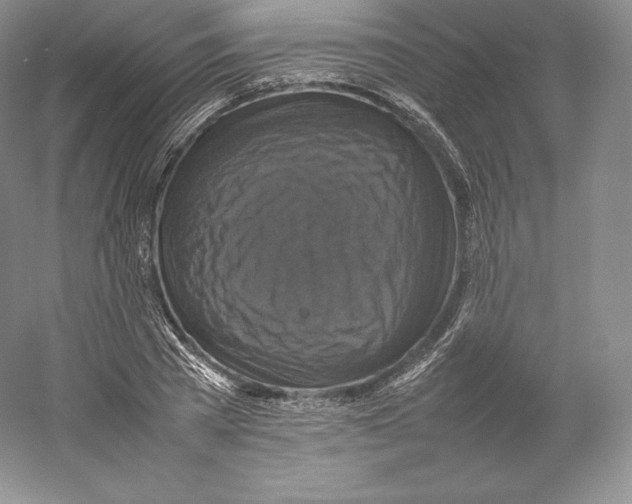 X0000059230785200511111547