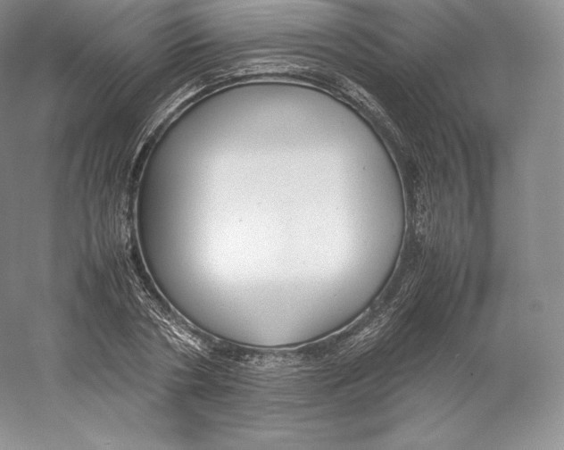 X0000059230786200511111547