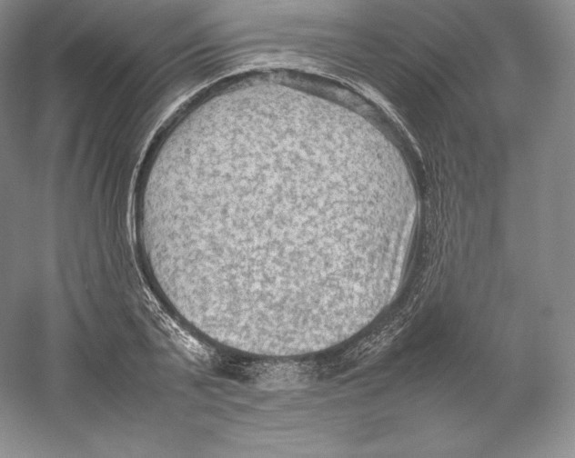 X0000059230791200511111547