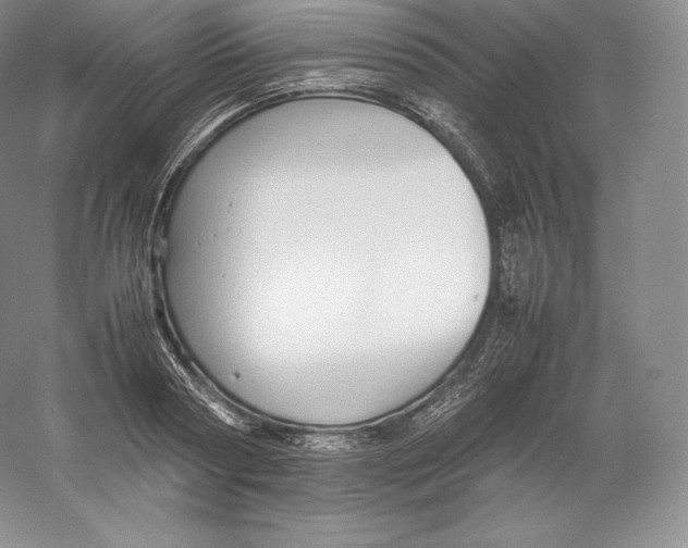 X0000059230794200511111547