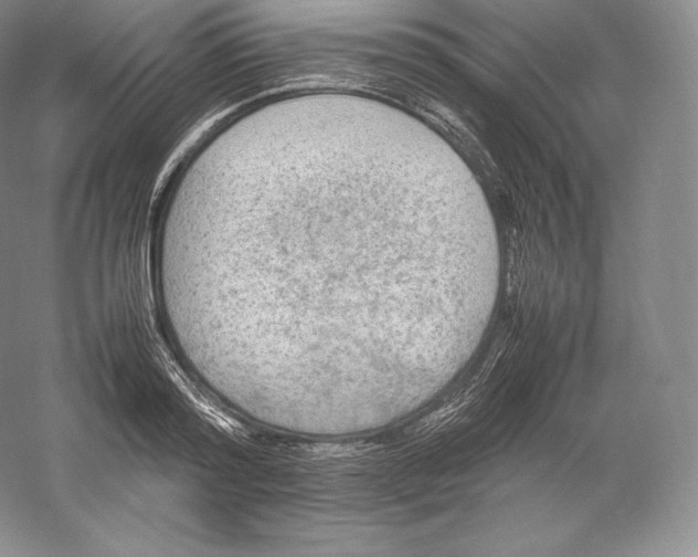 X0000059230796200511111547