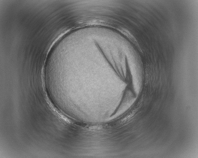 X0000059230798200511111547