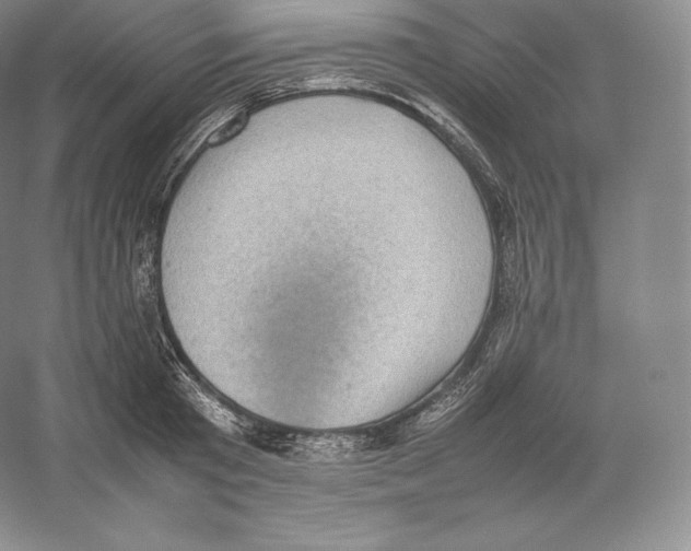 X0000059230801200511111547