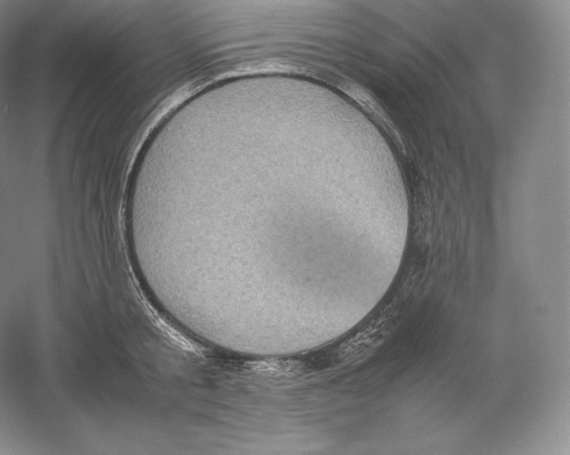 X0000059230805200511111547