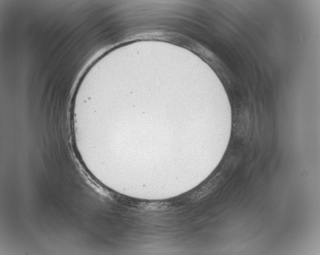 X0000059230808200511111547