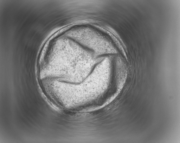 X0000059230811200511111547