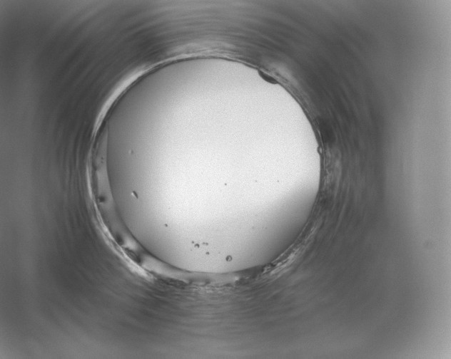 X0000059230812200511111547