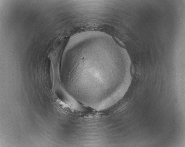 X0000059230818200511111546