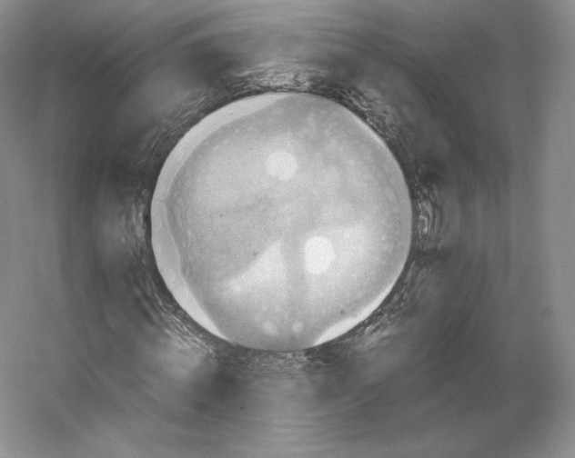 X0000059230820200511111546