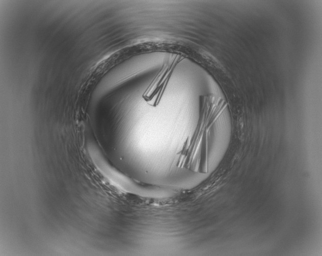 X0000059230822200511111546