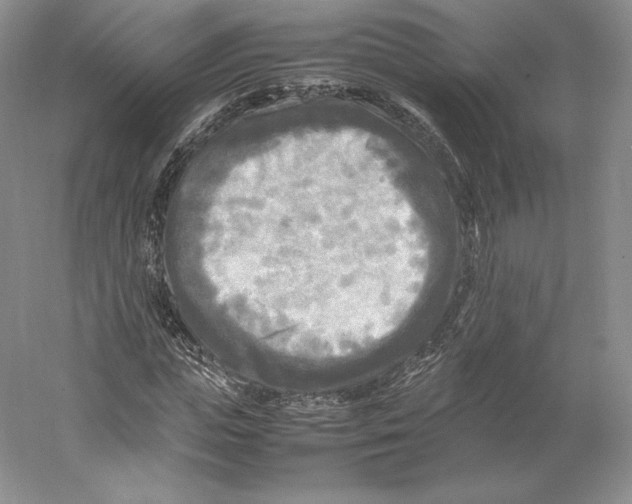 X0000059230823200511111546