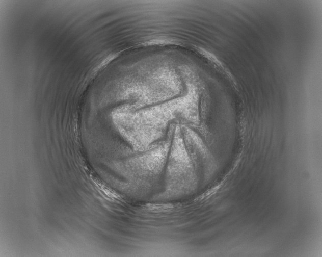 X0000059230825200511111546