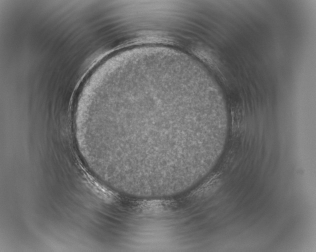 X0000059230828200511111546