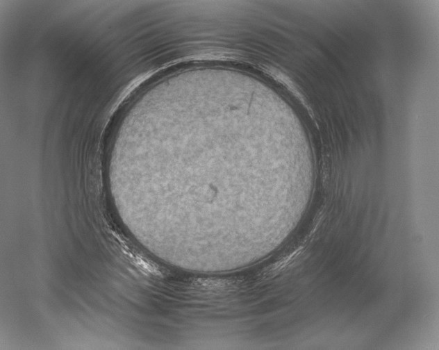 X0000059230829200511111546