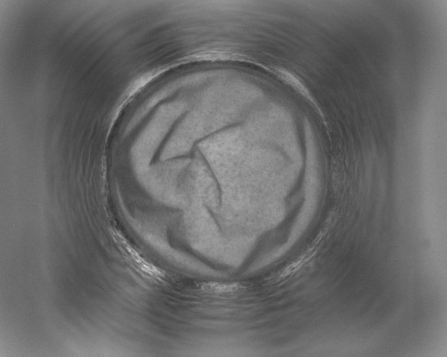 X0000059230831200511111546