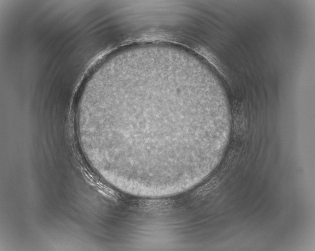 X0000059230832200511111546