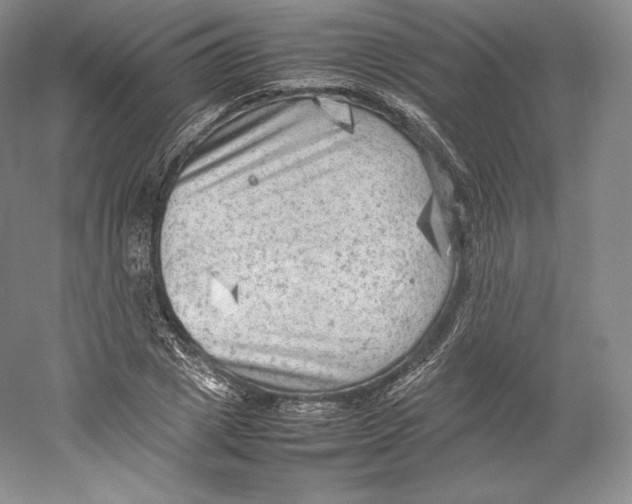 X0000059230833200511111546