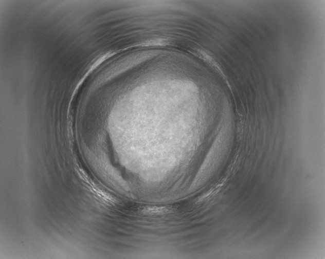 X0000059230835200511111546