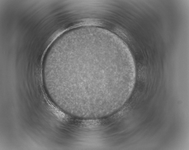 X0000059230836200511111546