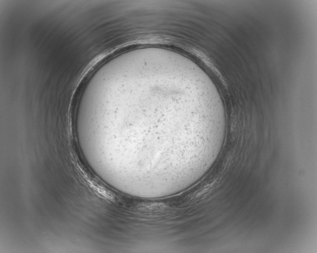 X0000059230837200511111546