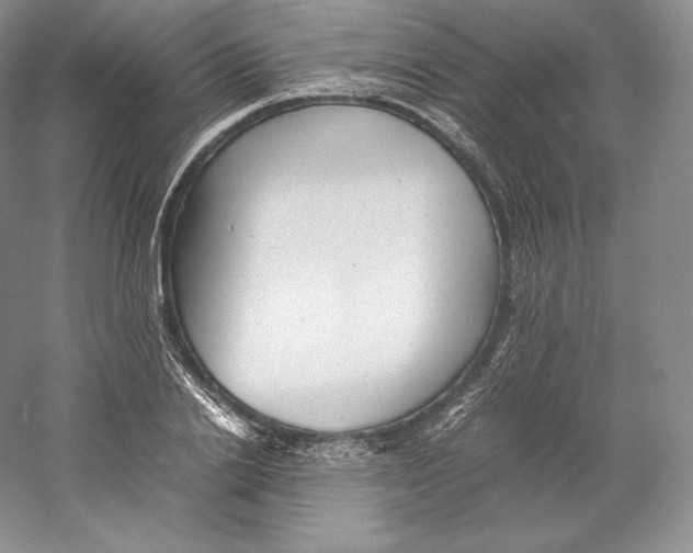 X0000059230838200511111546