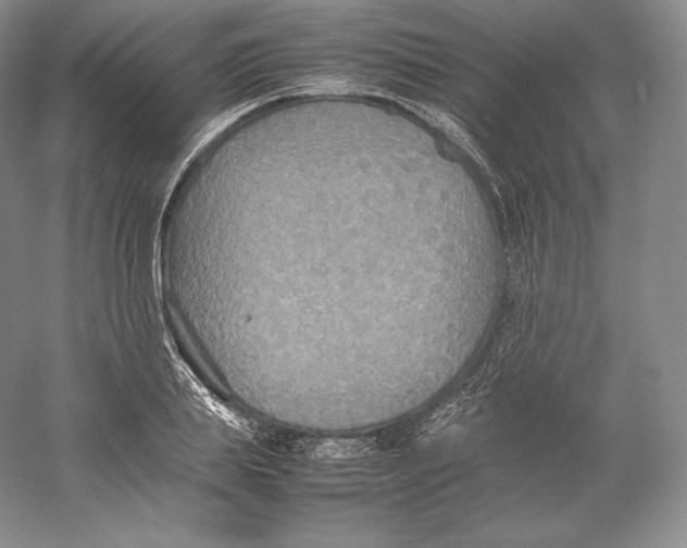 X0000059230839200511111546