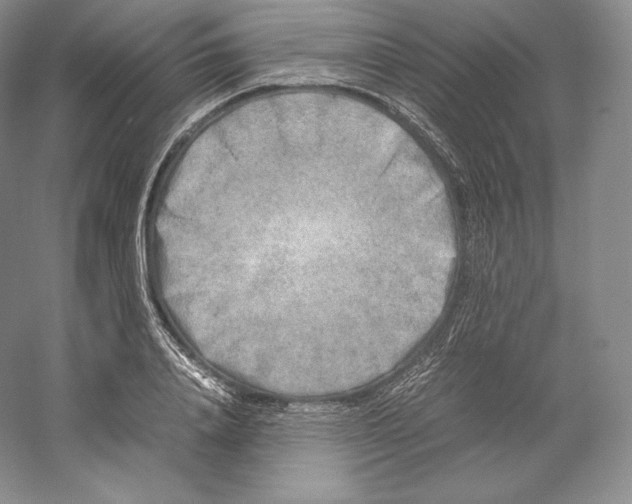 X0000059230840200511111546