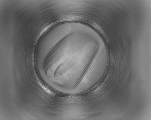 X0000059230842200511111546