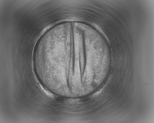 X0000059230845200511111546