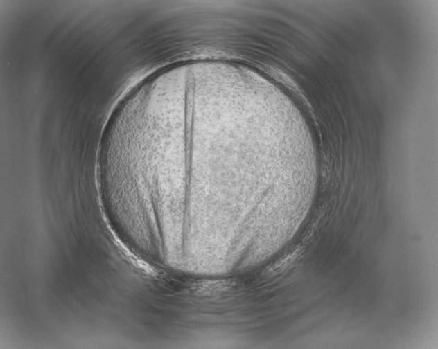 X0000059230847200511111546