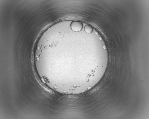 X0000059230848200511111546