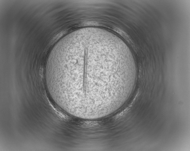 X0000059230849200511111546