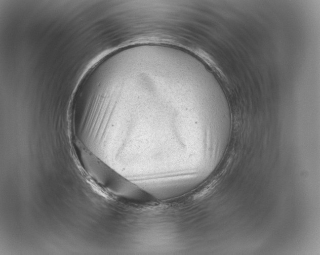 X0000059230854200511111546